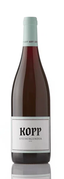 Weingut Kopp – Pinot Noir Gutswein – 2023