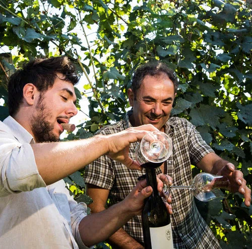 Langhe Bianco DOC Viognier – Cascina del Monastero di Grasso Giuseppe – Bild 7