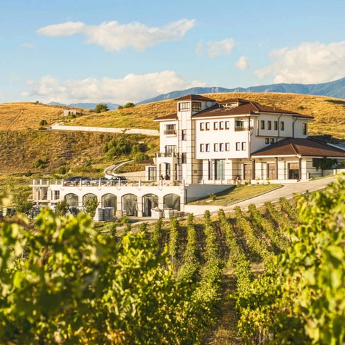 Family Tradition Melnik 2021 – Rotwein trocken aus Bulgarien – Villa Melnik – Bild 5